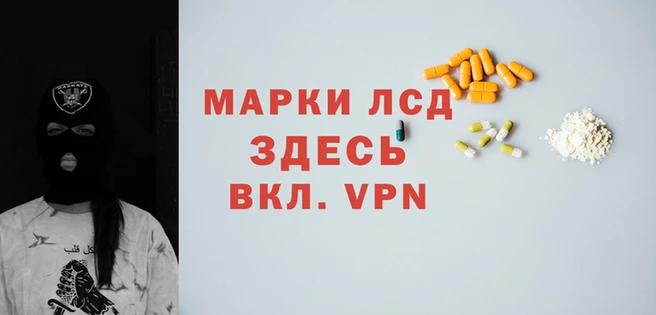 PSILOCYBIN Армянск