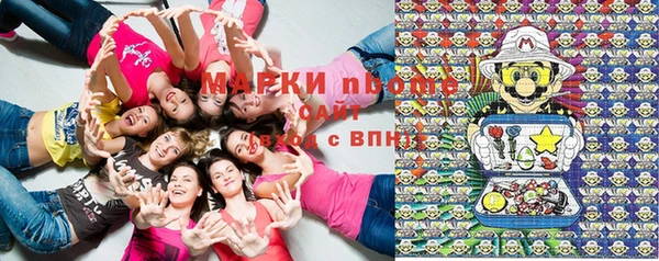 PSILOCYBIN Армянск