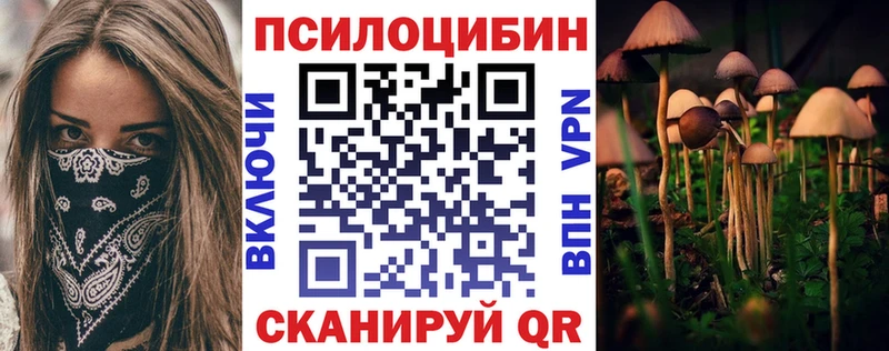 Псилоцибиновые грибы Magic Shrooms  где продают наркотики  Аркадак 